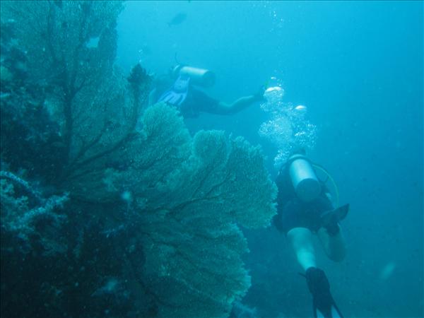 Similan Day 1 022.jpg